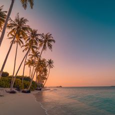 Beautiful tropical beach banner. White sand and coco palms travel tourism wide panorama concept. Amazing sunrise beach landscape, sky sunset clouds, relax nature tranquility, inspirational shore coast