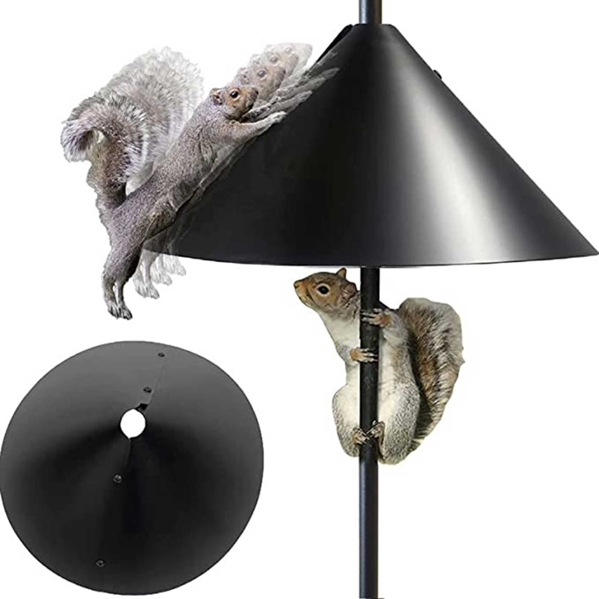 squirrel baffle