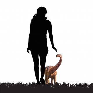 The baby Rapetosaurus krausei was so small, it would have barely reached the hand of a modern adult woman.