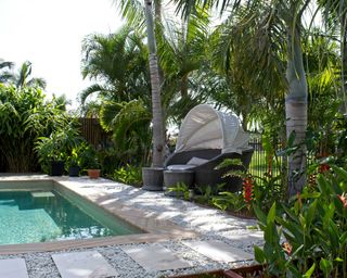 outdoor swimming pool with tropical plants and seating