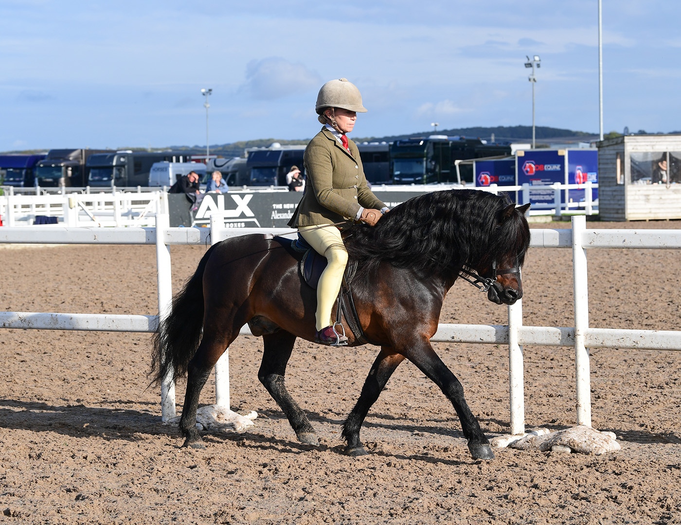 Heritage Show 19.10.24