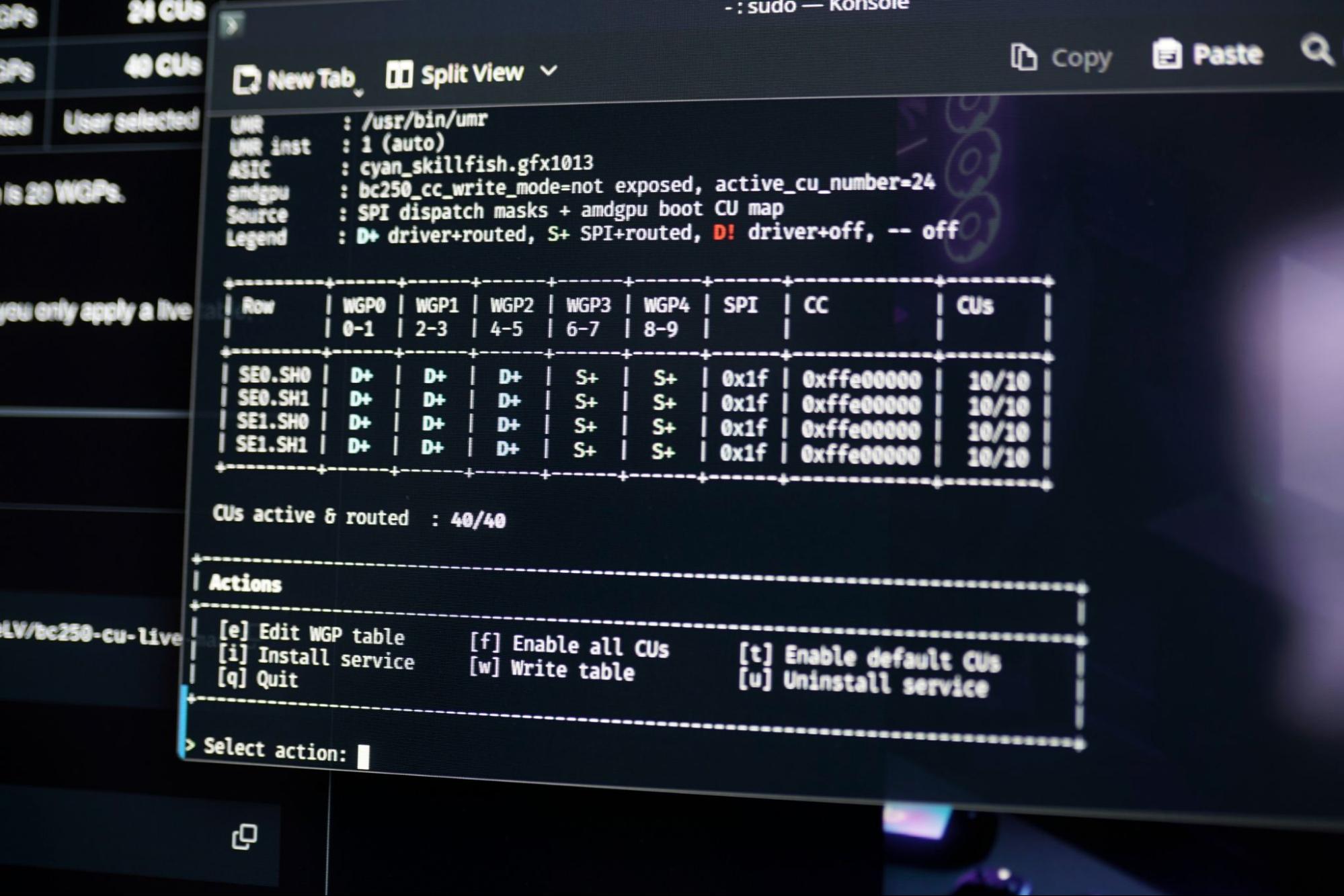 Unlocking the CUs on the BC-250 board