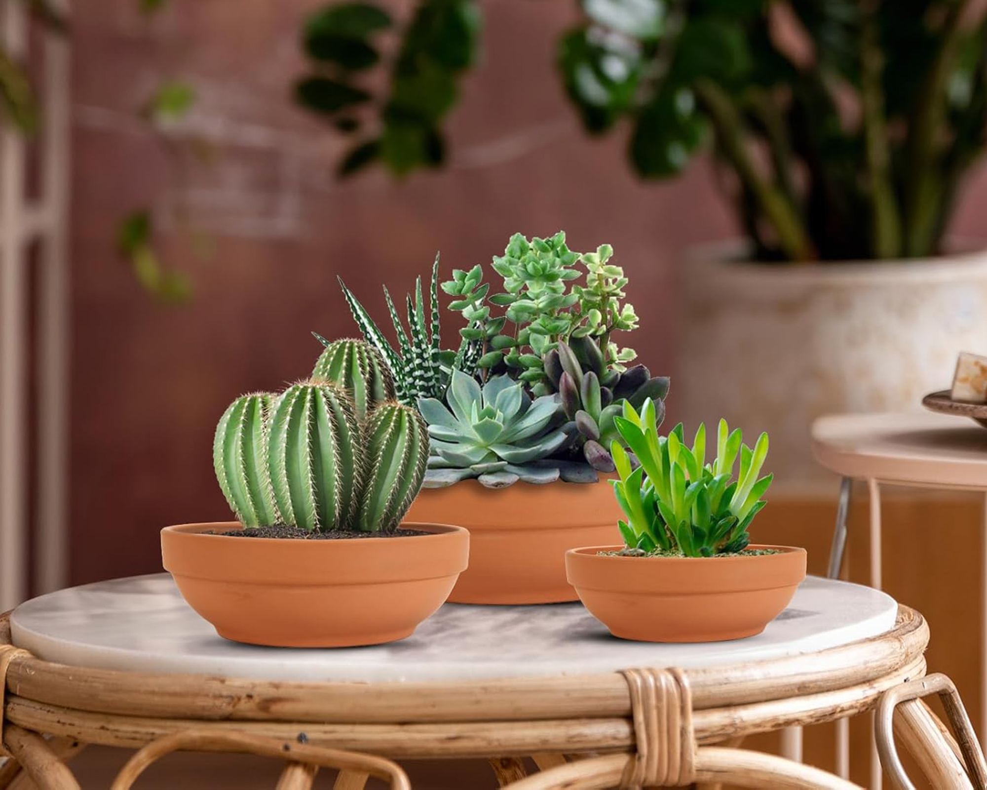 Laergin Terra Cotta Pots