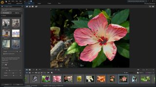 Best alternatives to Photoshop - CyberLink PhotoDirector in use on a computer