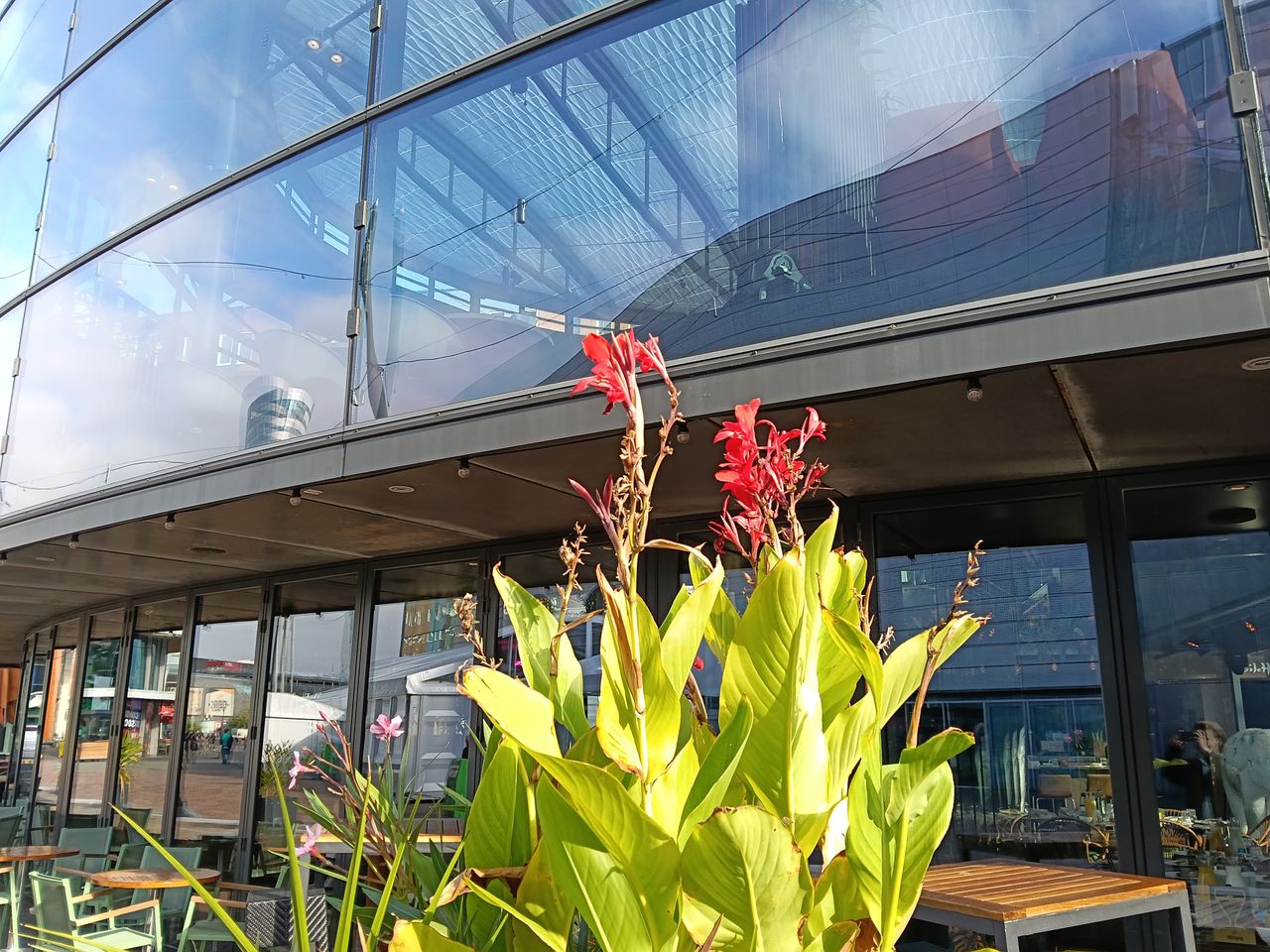 OPPO A5 Pro 5G cameravoorbeelden