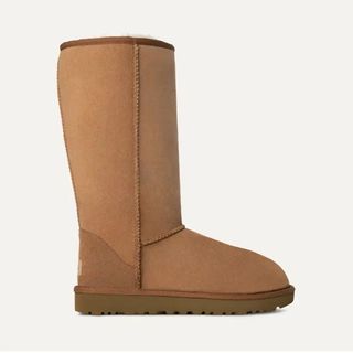 a shot of a classic tall ugg boot