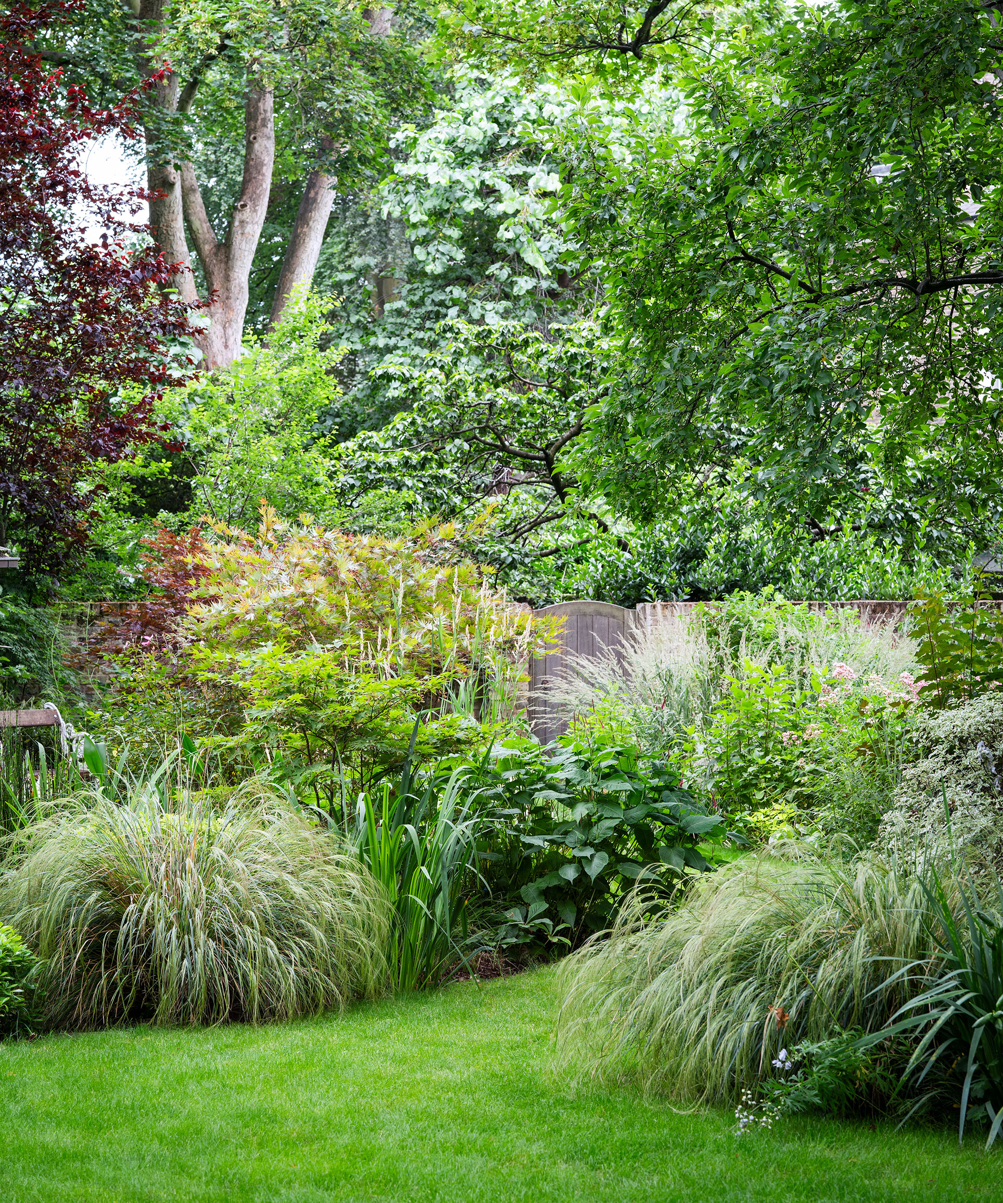 curved garden beds and back gate in a city garden