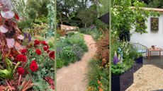 collage of three garden pictures taken to show my RHS Chelsea Flower show highlights