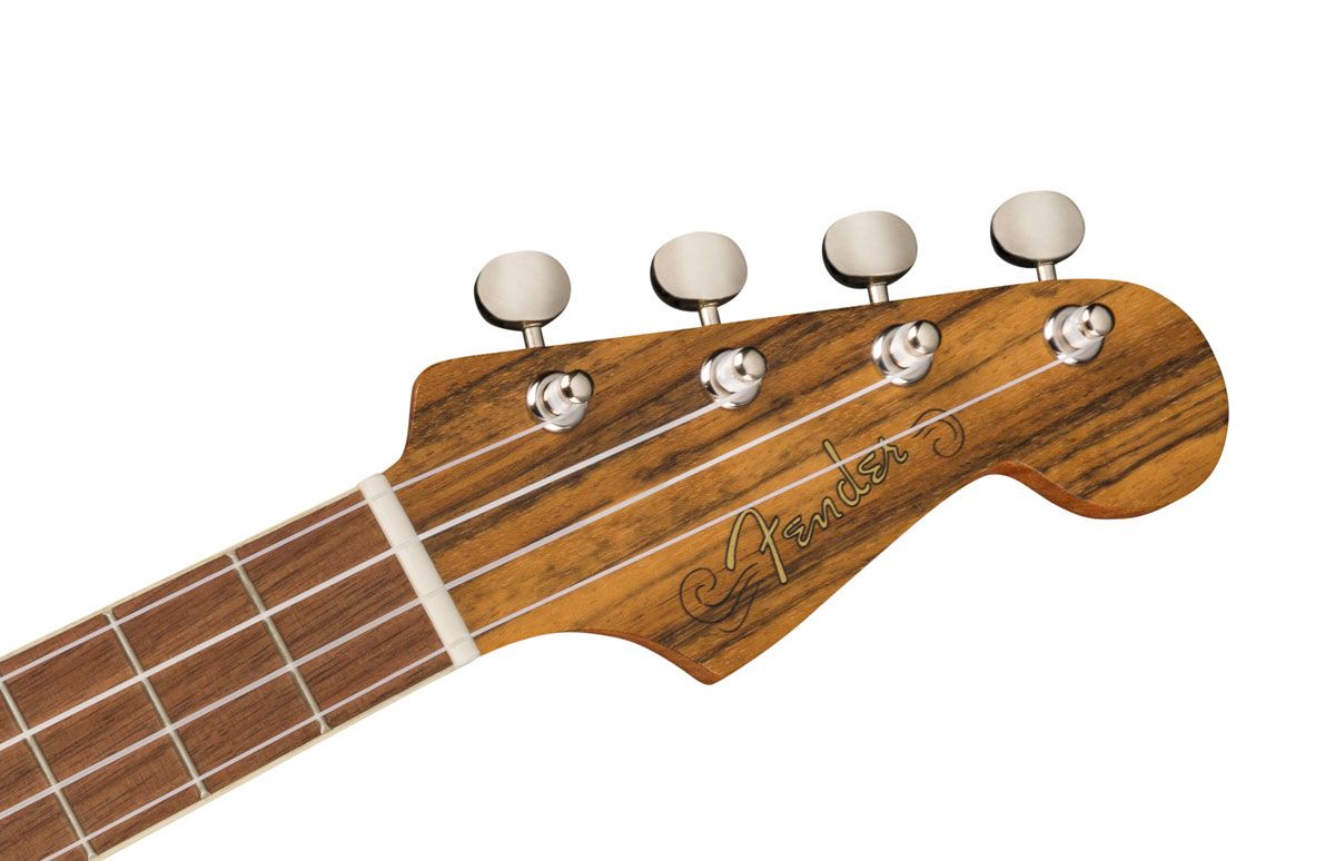 Fender