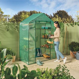 Aldi walk in greenhouse with plants and boots