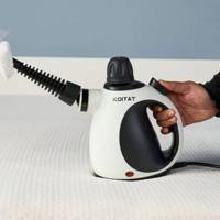 Steam cleaning your mattress