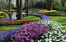 Keukenhof