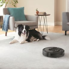 robot vacuum on a floor beside a dog