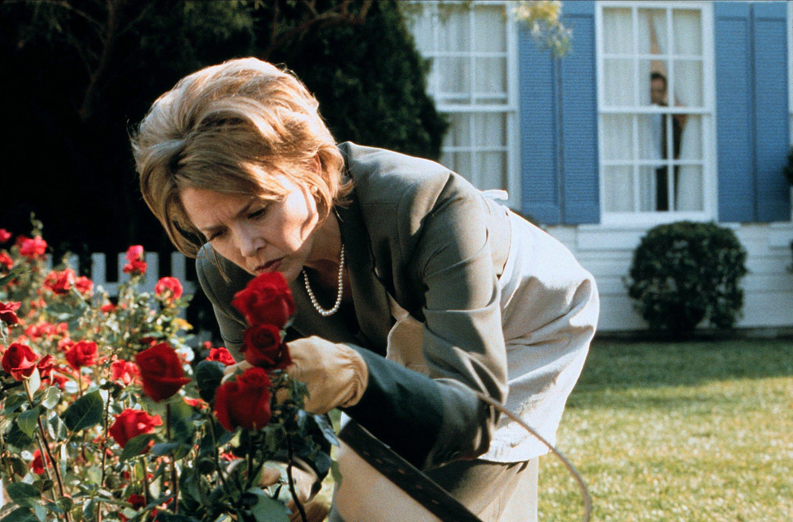 American Beauty film still