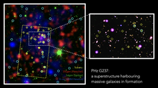 An image of the G237 protocluster with its galaxies in different colors representing different wavelengths of observations.