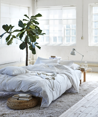 a totally white and clean bedroom with a plant and a wooden stool at the end of the bed