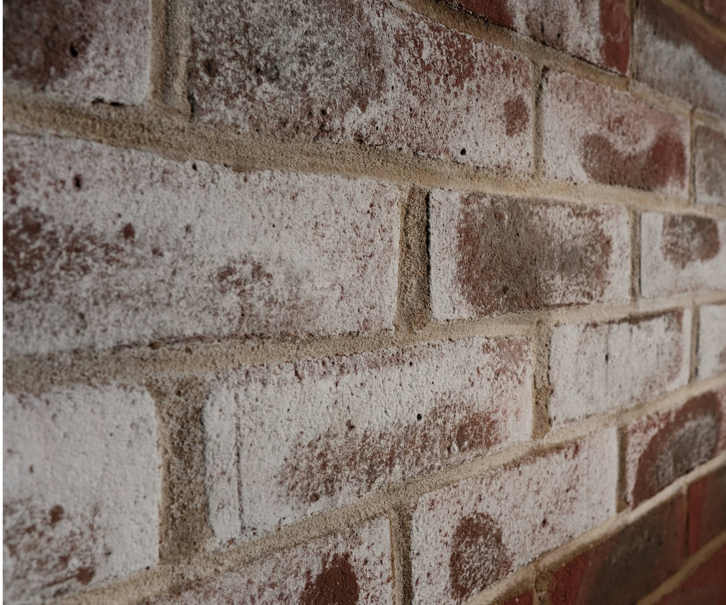 efflorescence on brick wall