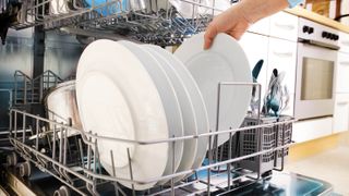 A dishwasher with plates in the lower rack being unloaded