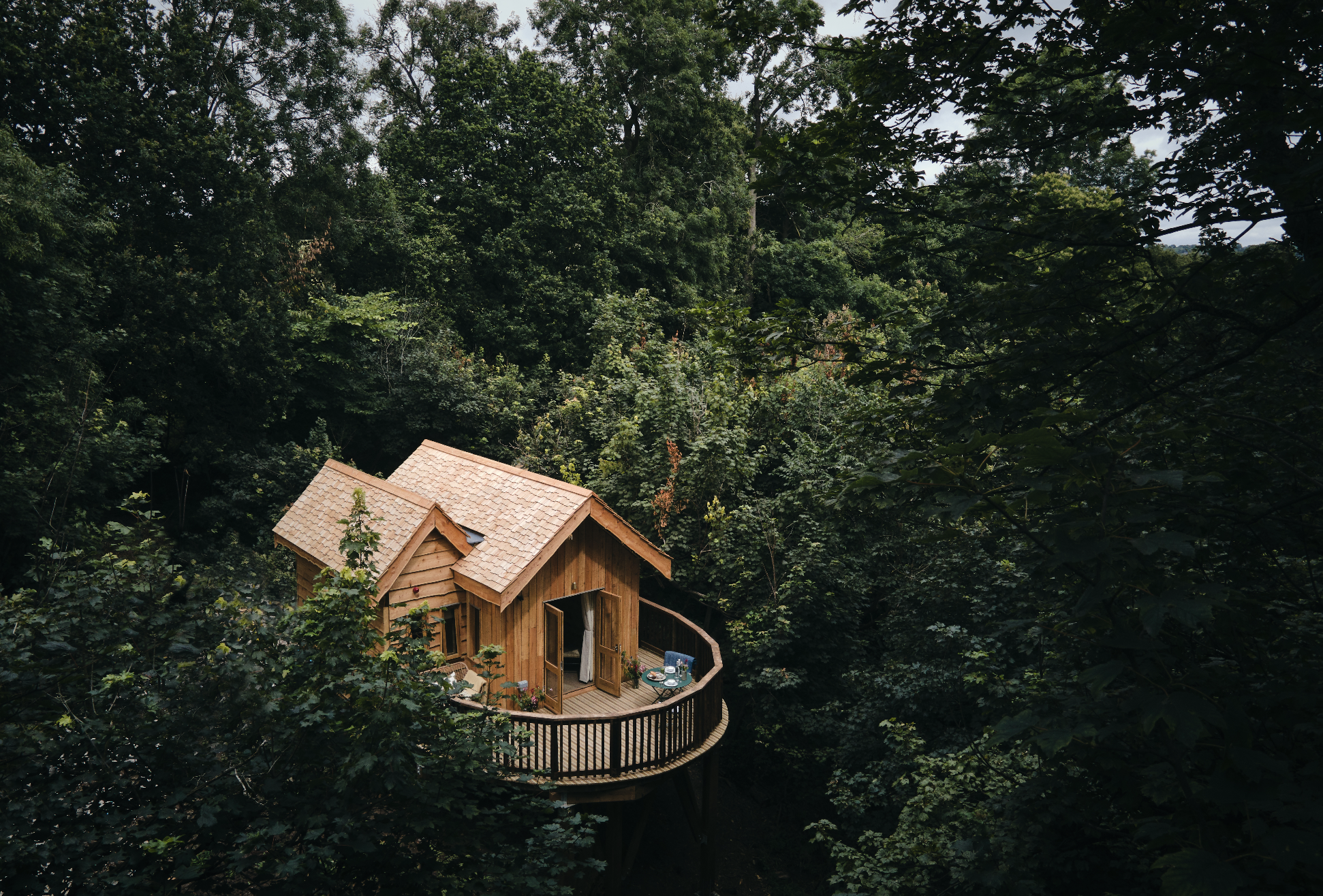 Wildhive at Callow Hall hotel review: I felt like a squirrel preparing for hibernation and I loved it