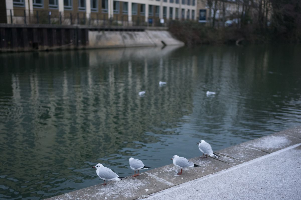 A photo taken on a Leica M EV1 rangefinder-style camera
