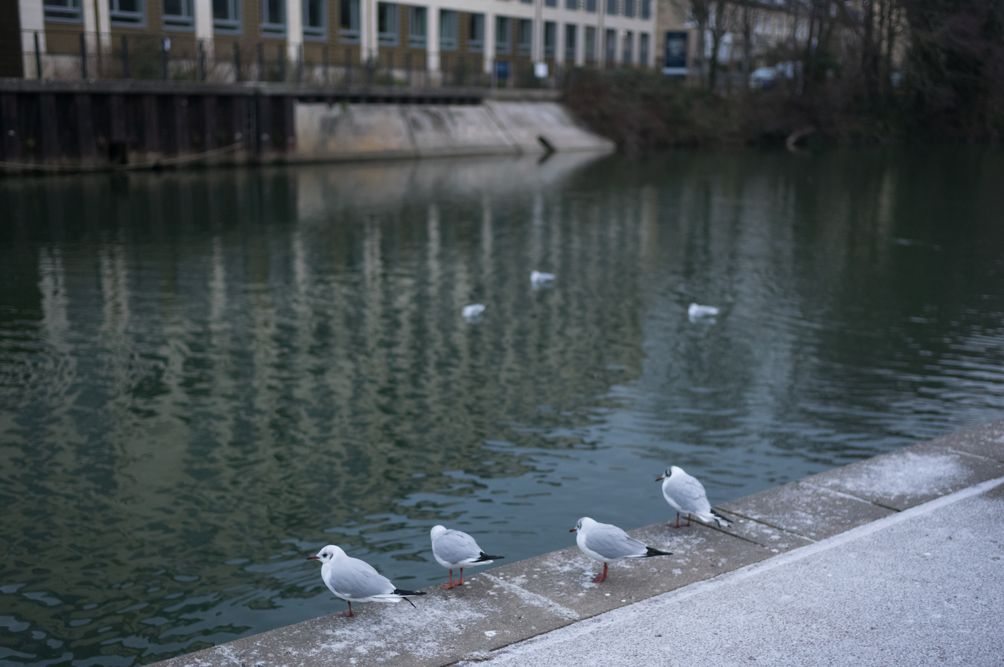 A photo taken on a Leica M EV1 rangefinder-style camera