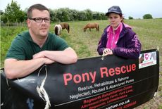 PonyRescue4.jpg