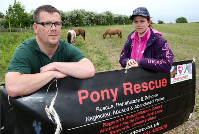 PonyRescue4.jpg