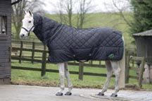 Quiltmasta_300_Fixed_Neck.jpg