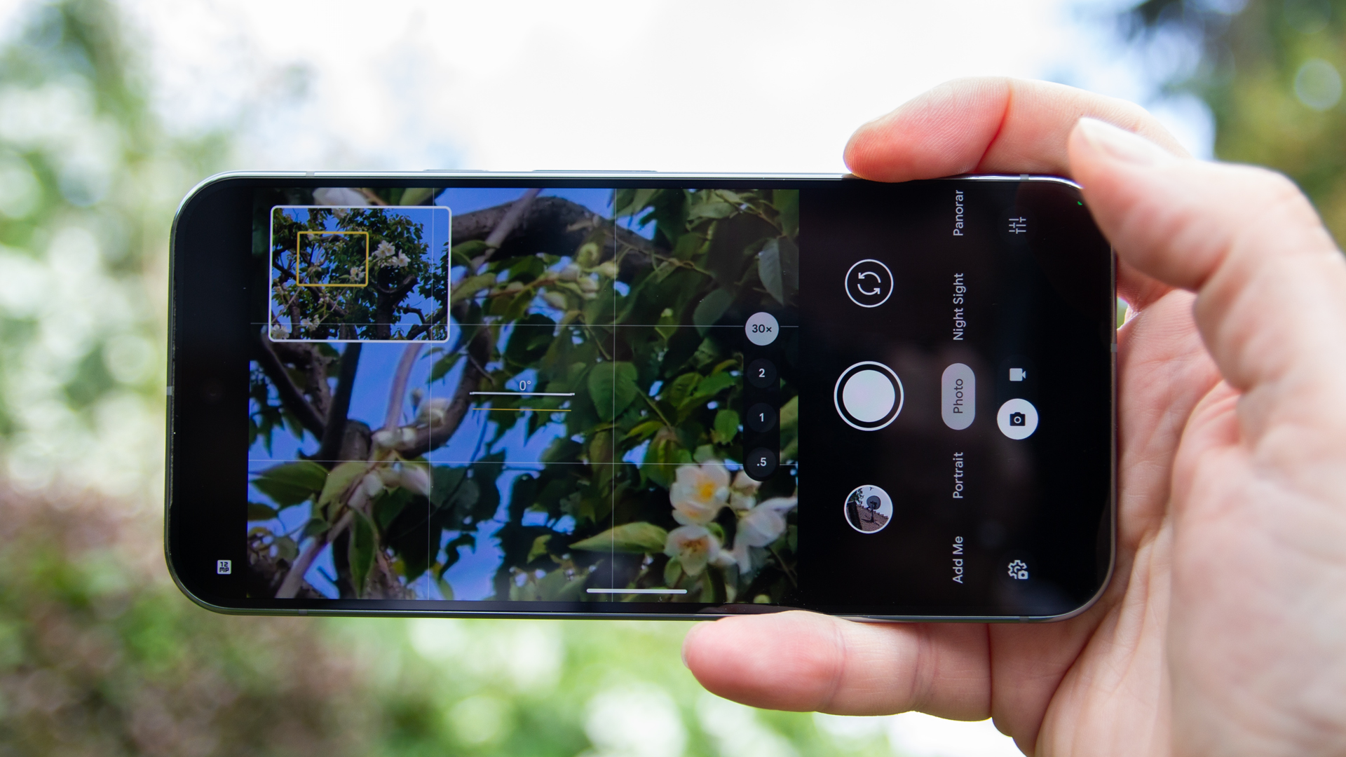 Zoom on Pixel 9 Pro XL