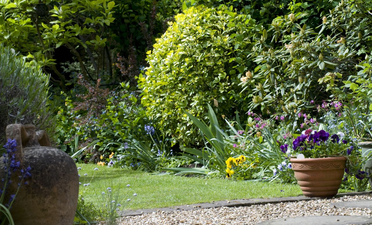 cottage garden with gravel path