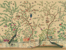 Wallpaper for Brighton Pavillion by conservator, consultant and designer Allyson McDermott, hailed by Giles Quarme and Natasha Brown.