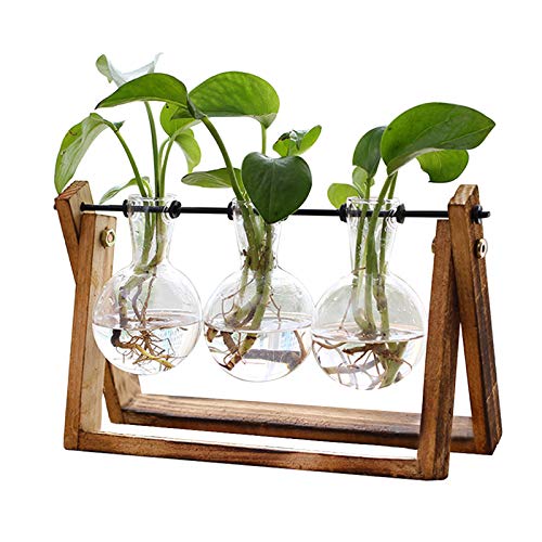 Xxxflower Plant Terrarium With Wooden Stand, Air Planter Bulb Glass Vase Metal Swivel Holder Retro Tabletop for Hydroponics Home Garden Office Decoration - 3 Bulb Vase