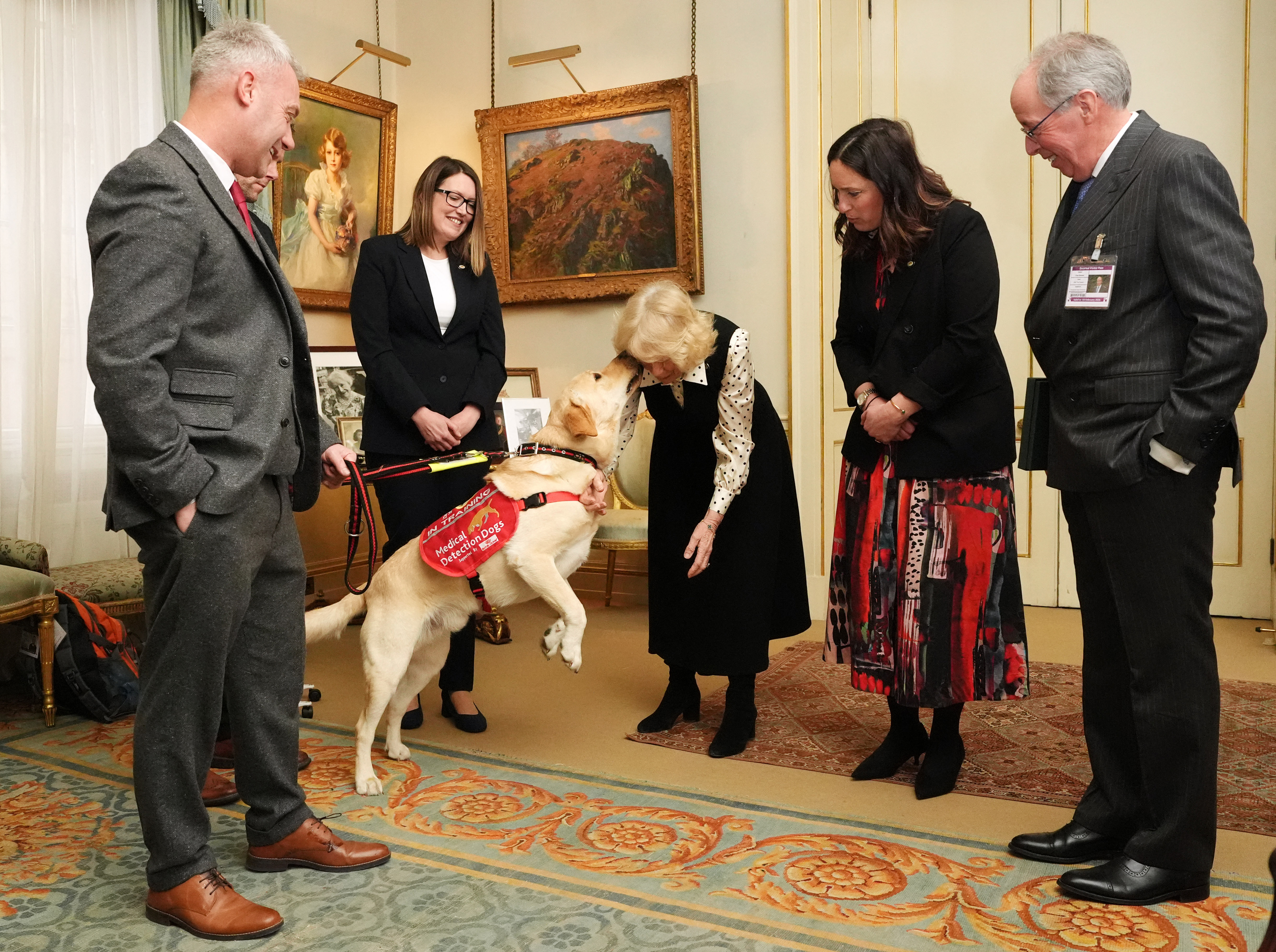 Queen Camilla greets Freddy the dog at Clarence House