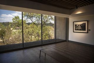Interior view of the Javett Art Centre gallery featuring white walls, wood flooring, a wooden bench, a framed image on the wall and large windows offering a view of the trees outside and a blue, cloudy sky
