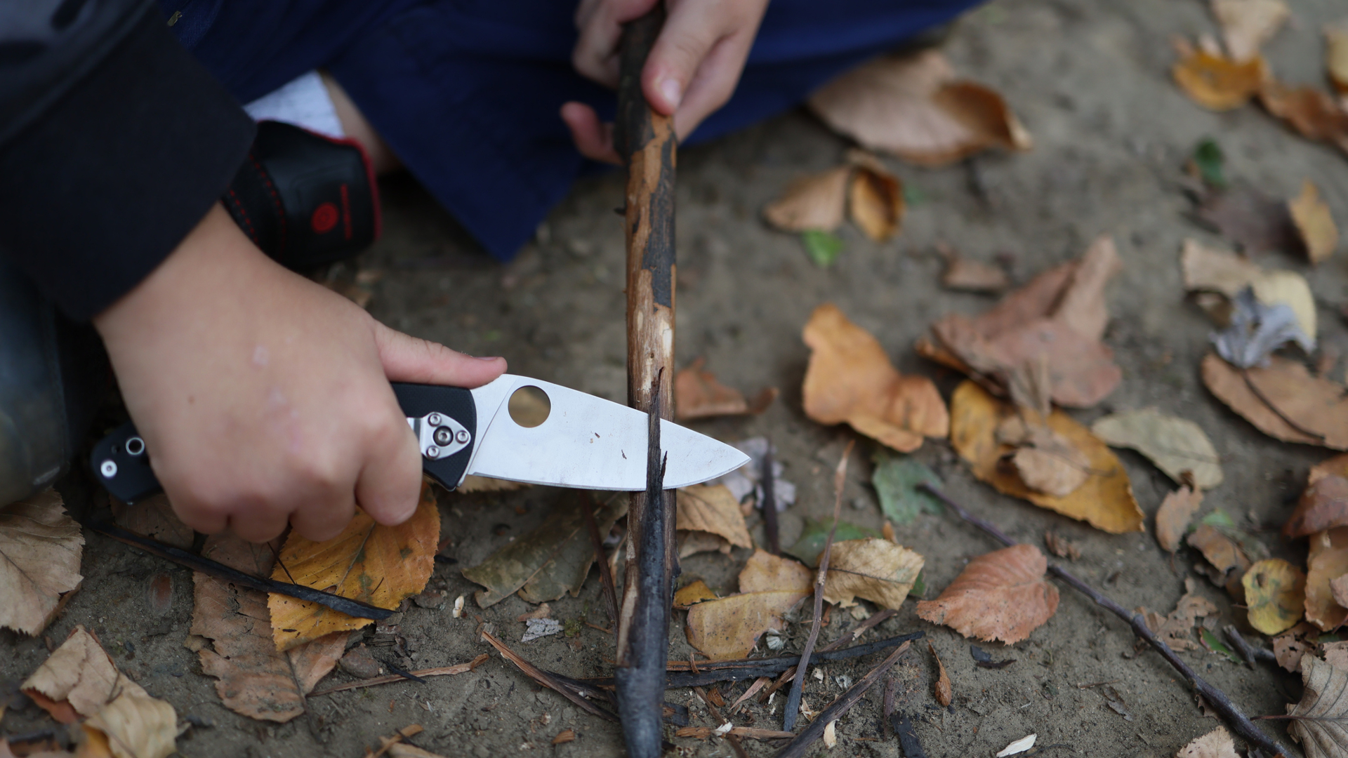 How to choose a knife for camping for food prep and other campsite