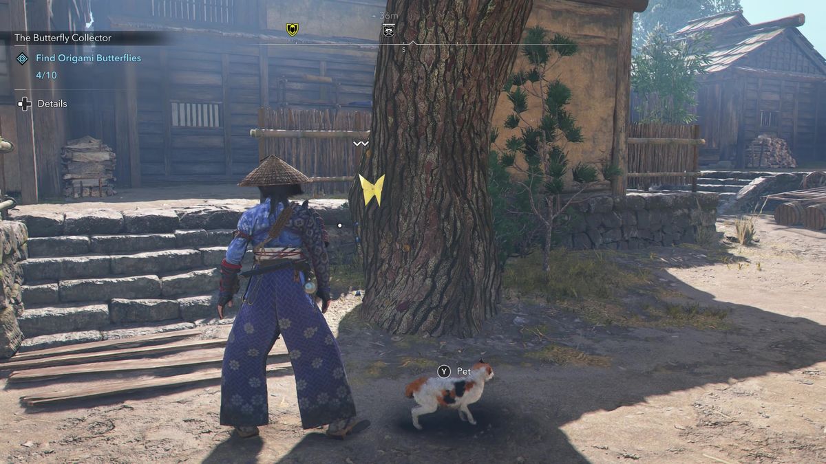 Assassin's Creed Shadows Butterfly Collector locations - The fifth butterfly on a tree next to a cat behind a house.