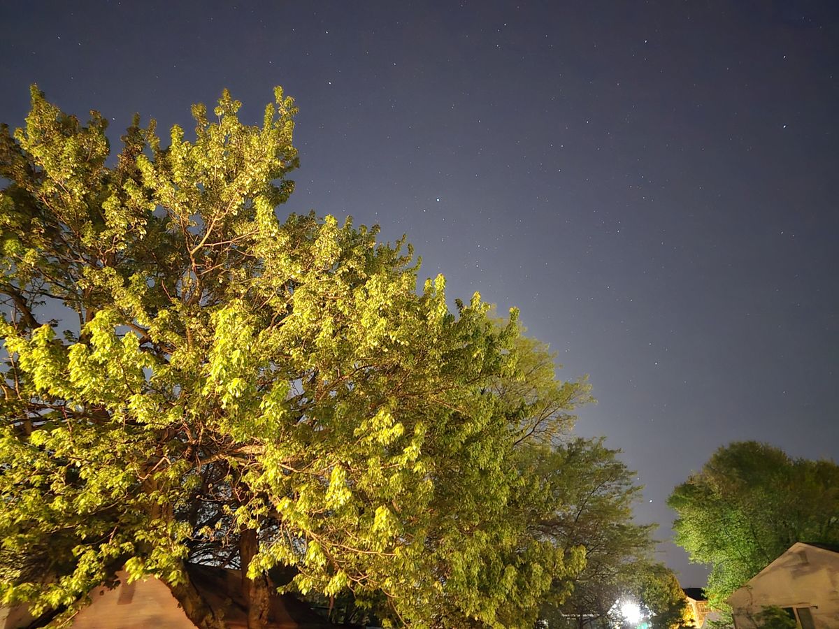 Samsung Galaxy S24 Ultra low light sample.