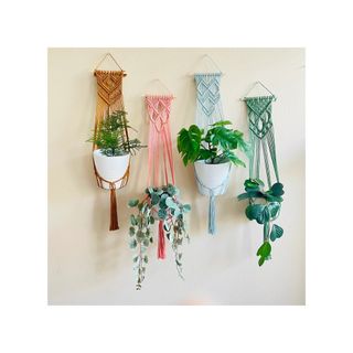 Assorted, coloured macrame plant hangers with trailing houseplants