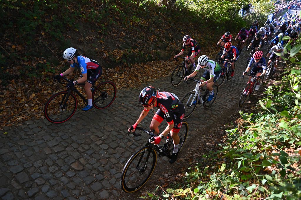 MAARKEDAL BELGIUM NOVEMBER 01 LR Ava Holmgren of Canada and Team Hardwood Next Denise Betsema of The Netherlands and Team Pauwels Sauzen Bingoal and general view of the peloton competing during the 33rd Trofee Oudenaarde Koppenbergcross 2022 Womens Elite on November 01 2022 in Maarkedal Belgium Photo by Luc ClaessenGetty Images
