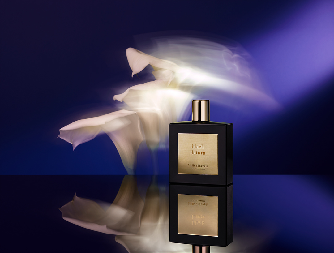Black Rabbit London design work