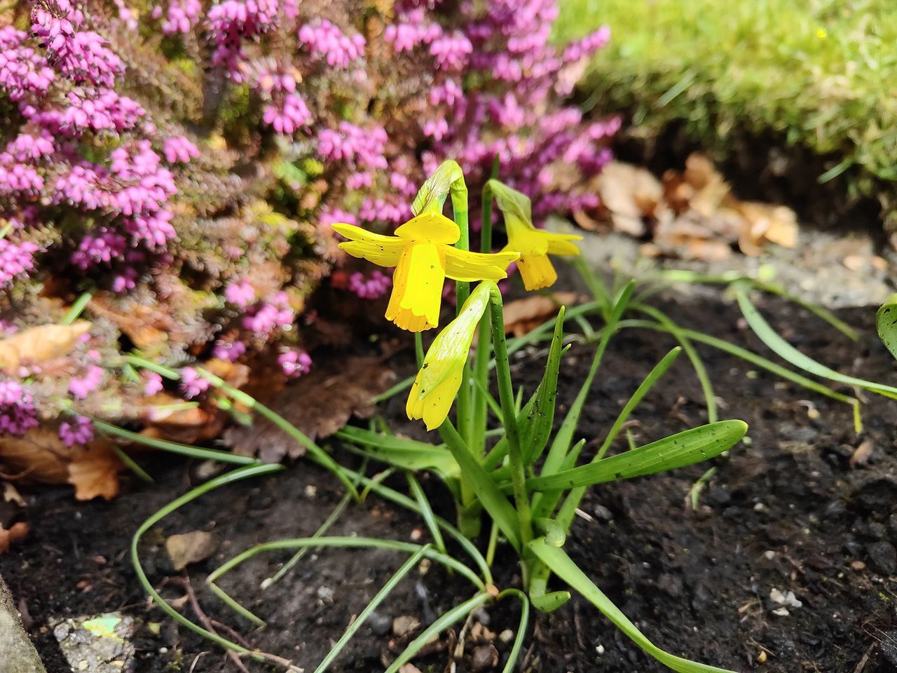 Oppo Find X3 Pro camera sample