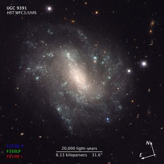 Hubble View of Galaxy UGC 9391