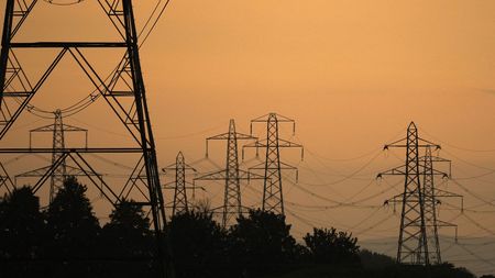 Electricity pylons