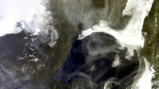 Europe's Sentinel 3 satellite captured this image of wildfire smoke above the Sea of Okhotsk on August 12, 2021.