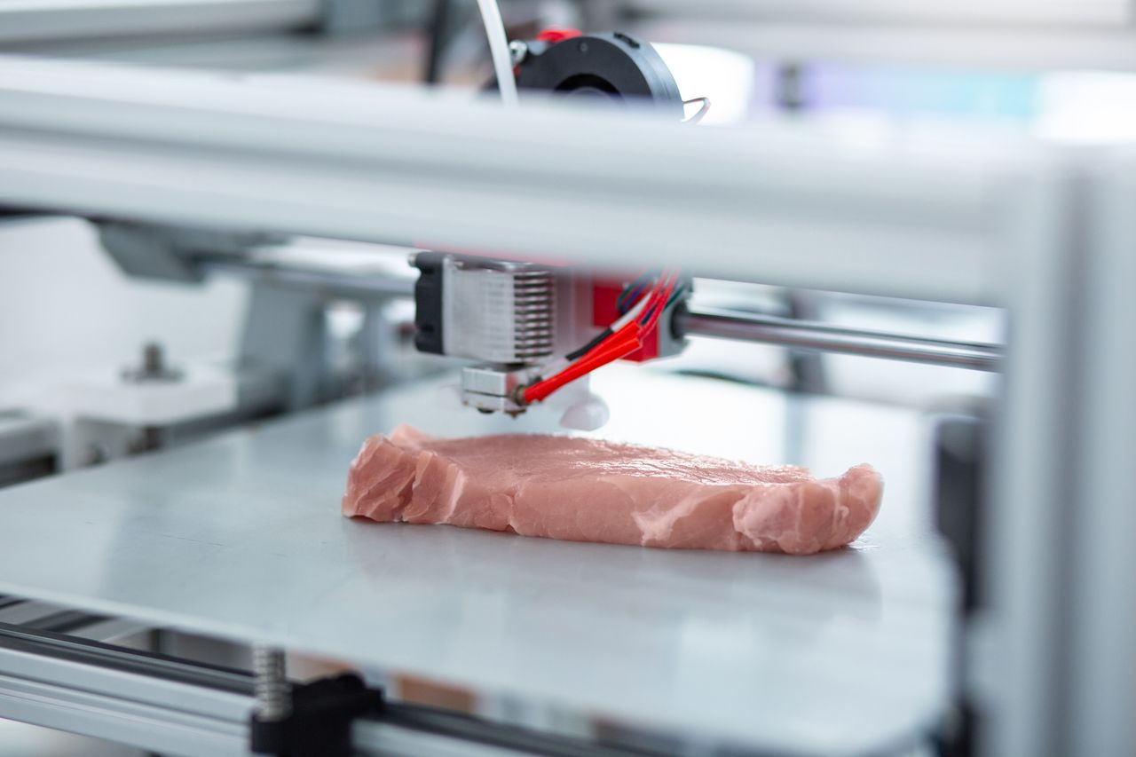 3D printed meat.