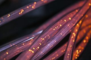 Glasfaser-Kabelstränge in der Nahaufnahme