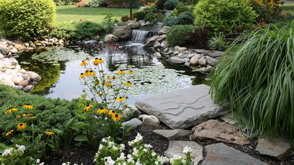 monty don pond care tips – garden pond surrounded by flowers and plants