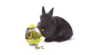 Meric Rabbit IQ Treat Ball rabbit toy