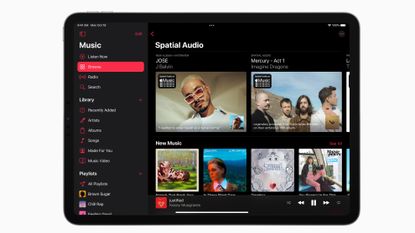 Apple Music on iPad