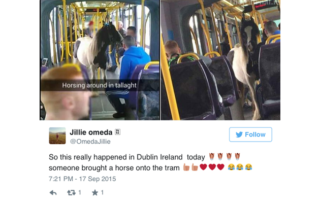 horse on tram